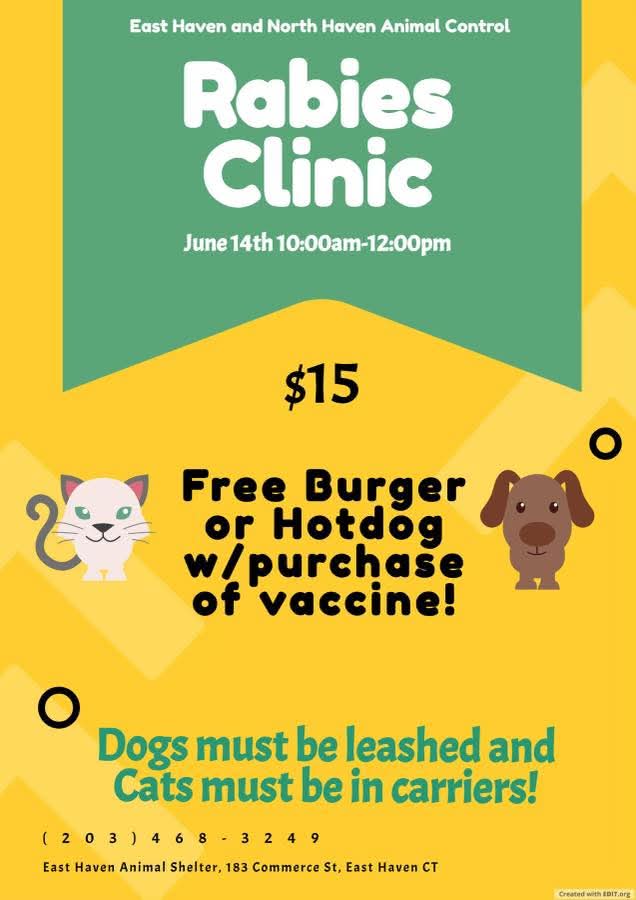 Rabies Clinic Flyer